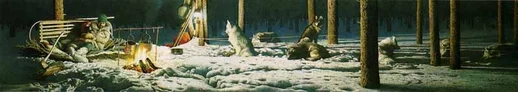 Never Alone Limited Edition Print by Scott Kennedy