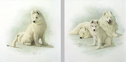A Curious Encounter And A New Generation L.e.print by Scott Kennedy
