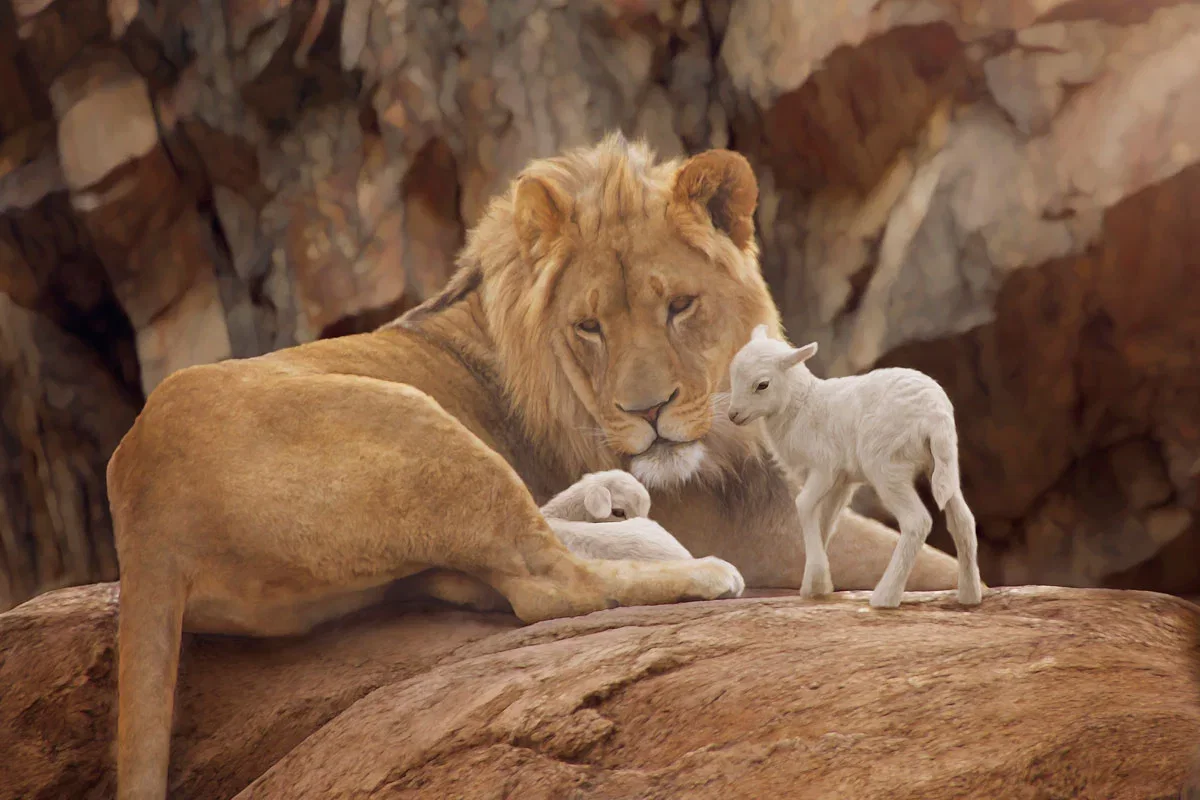 The Lion and The Lamb by Kristina Linton — Giclee On Canvas