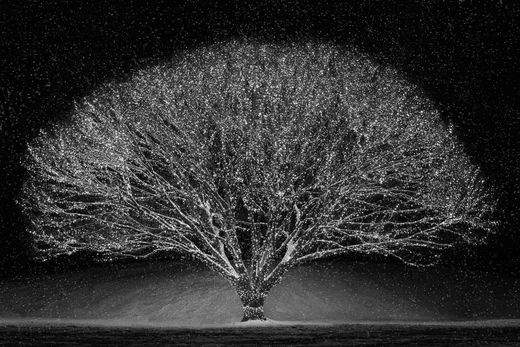 Winter Wonderland by Kristina Linton