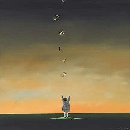 Robert Deyber - Catching Zs