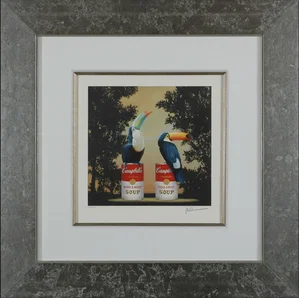 Robert Deyber - Toucans Framed