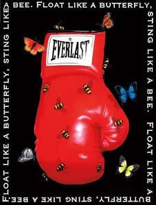 Robert Deyber - Float Like A Butterfly, Sting Like A Bee