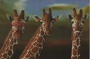 Robert Deyber - See No Evil, Hear No Evil, Speak No Evil Giraffes