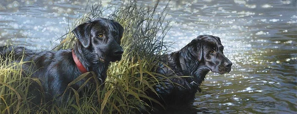 BLACK MAGIC ARTIST PROOF by Bonnie Marris