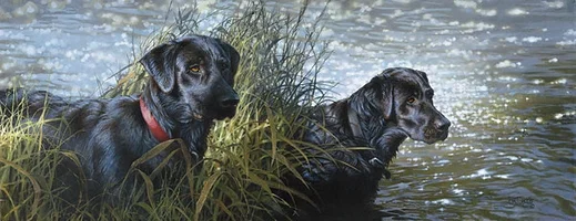 BLACK MAGIC ARTIST PROOF by Bonnie Marris