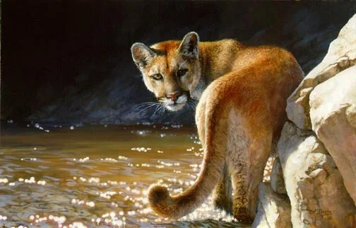 SHOWDOWN by Bonnie Marris — Canvas