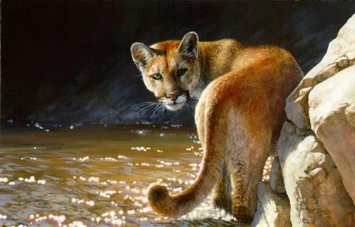 SHOWDOWN by Bonnie Marris