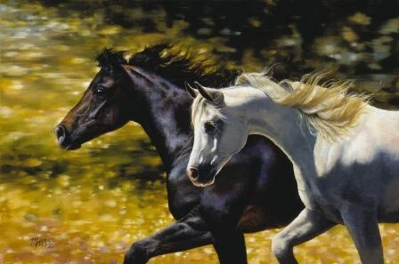 Night and Day by Bonnie Marris