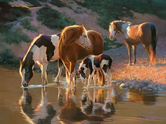 Night Cap by Bonnie Marris — Canvas