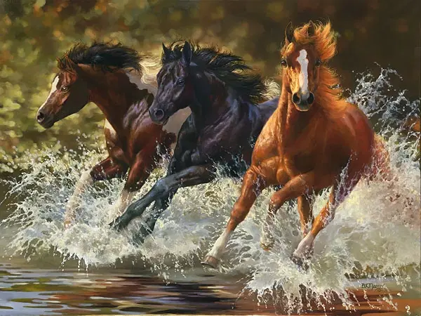 Bonnie Marris - Splash
