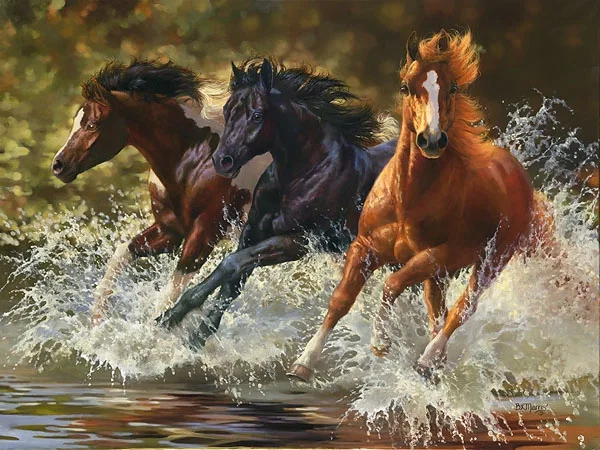 Splash by Bonnie Marris — Master Works Edition On Canvas