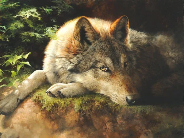 Hidden Secrets Artist Proof by Bonnie Marris — Canvas