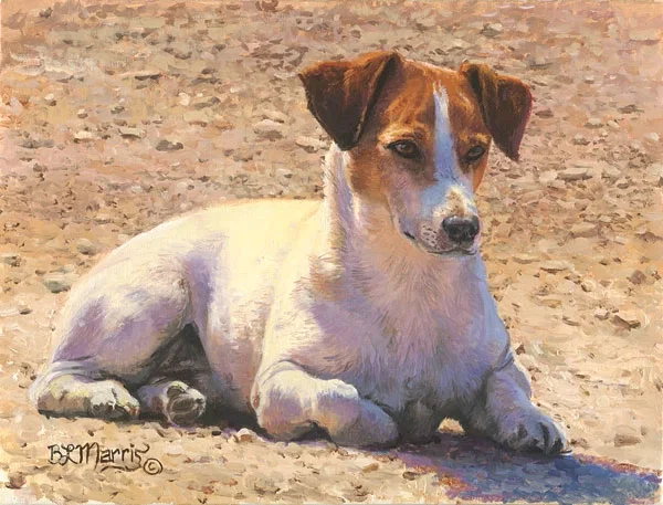 Tough as Stones SMALLWORK EDITION ON by Bonnie Marris — Canvas