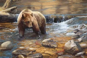 Bonnie Marris - Fish Tales Artist Proof