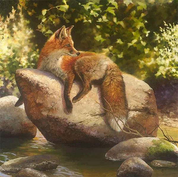 His Favorite Spot40 by Bonnie Marris — Canvas