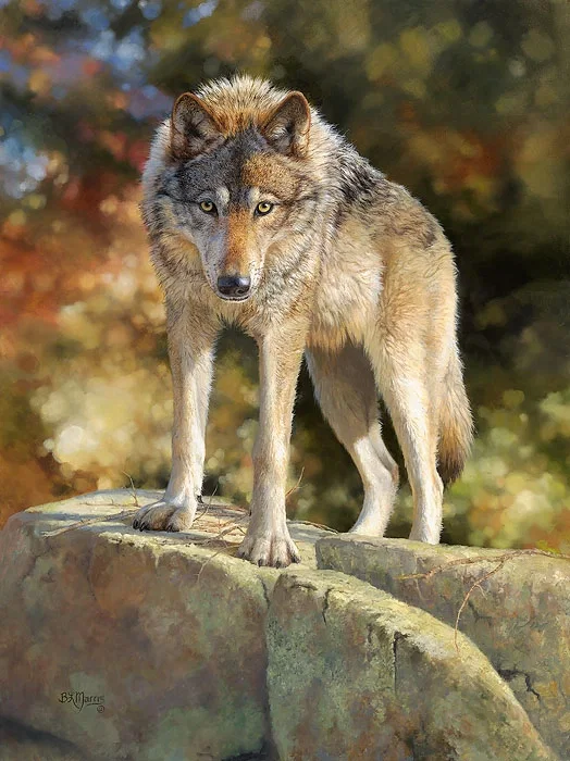 Eye to Eye by Bonnie Marris — Canvas