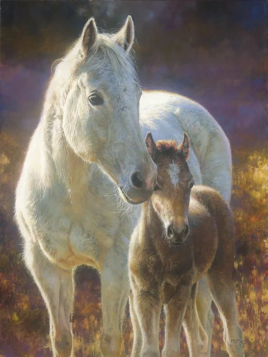 Morning Magic by Bonnie Marris — Canvas