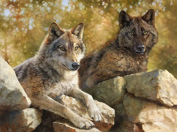 Rocky Lookout by Bonnie Marris — Canvas