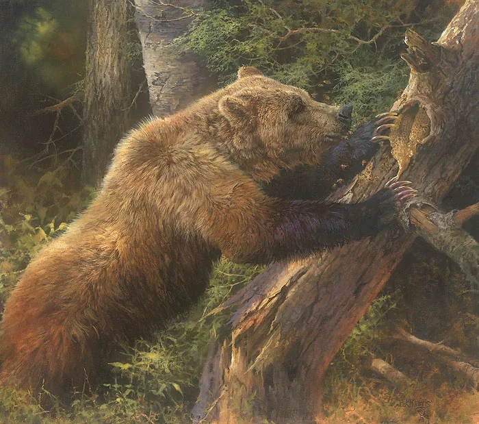Sweet Tooth by Bonnie Marris — Canvas