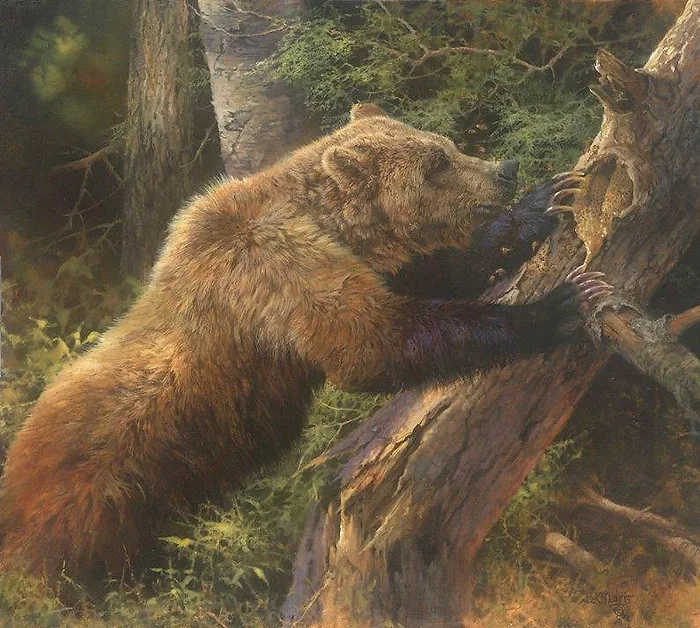 Sweet Tooth by Bonnie Marris — Canvas