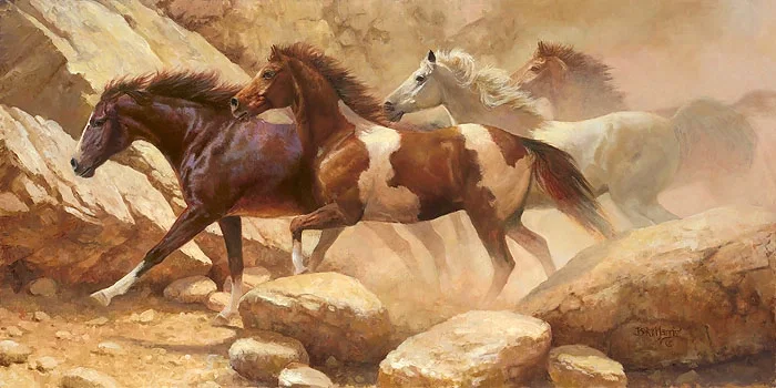 Into Blanco Canyon by Bonnie Marris — Canvas
