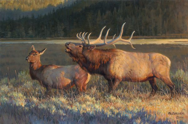 Evening Light by Nancy Glazier by Nancy Glazier — Giclee on Canvas