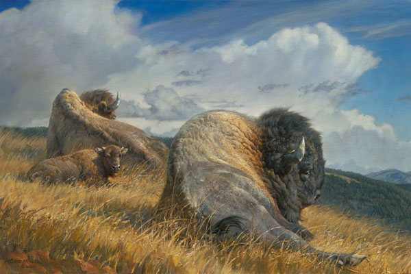 High Ground by Nancy Glazier by Nancy Glazier — Giclee on Canvas