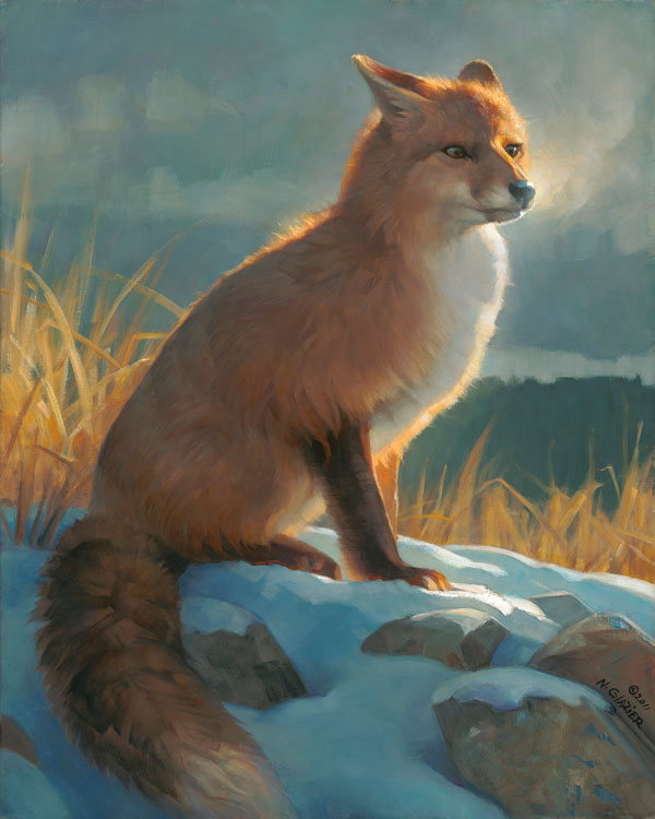 Backlit Beauty by Nancy Glazier by Nancy Glazier — Giclee on Canvas