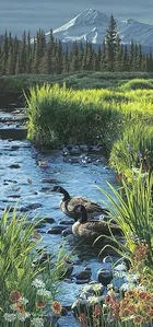 Rod Frederick - Summer Place