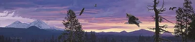 Rod Frederick - To Surf the Sunset