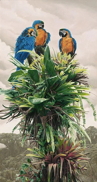 The Three Amigos by Rod Frederick — Canvas
