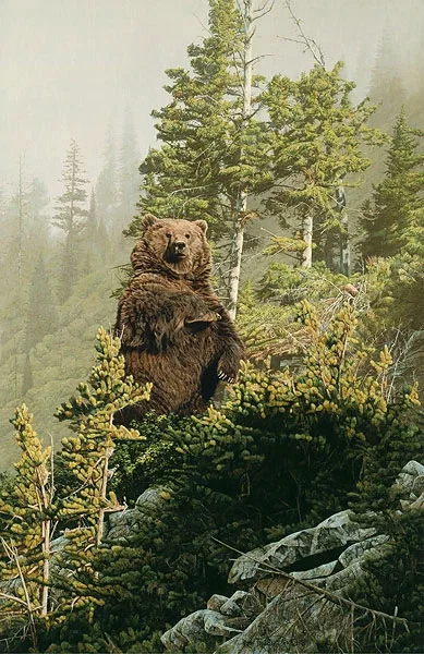 In Tall Timber by Rod Frederick — Canvas