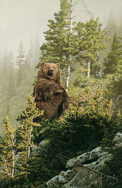 In Tall Timber by Rod Frederick