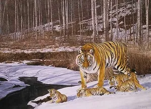 Simon Combes Gallery