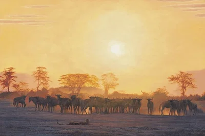 KEEPING DISTANCE by Simon Combes