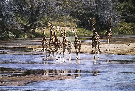 Ripples and Reflections by Simon Combes