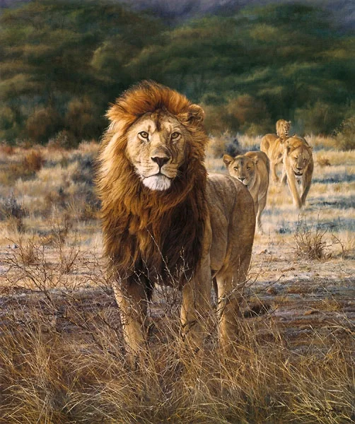 In His Prime by Simon Combes — Canvas