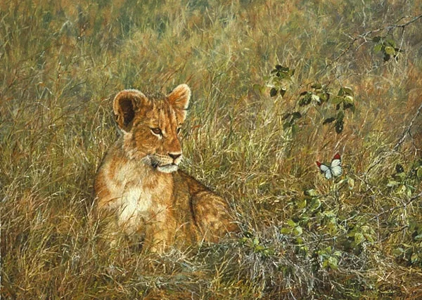 Lion Cub and Butterfly SMALLWORK EDITION ON by Simon Combes — Canvas