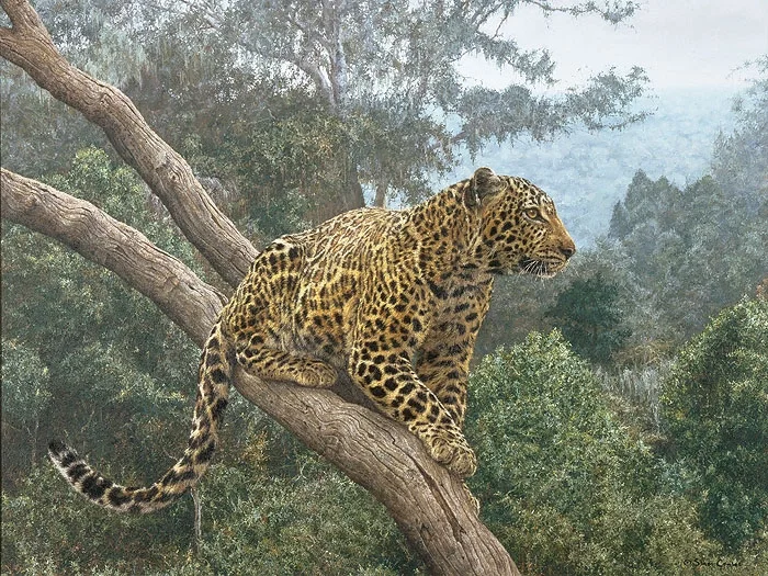 The Solitary Hunter ANNIVERSARY EDITION ON by Simon Combes — Canvas