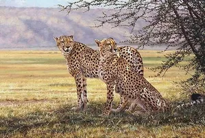 Simon Combes - Imminent Pursuit, Limited Edition Print