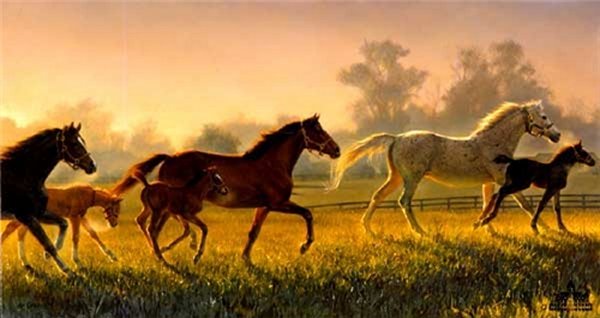 A Brand New Hope by Nancy Glazier by Nancy Glazier — Giclee on Canvas
