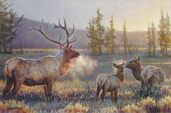 Morning by Nancy Glazier by Nancy Glazier — Giclee on Canvas