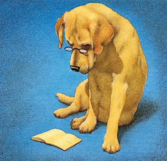 Reading Lab by Will Bullas — Limited Edition Canvas