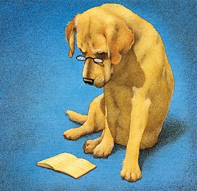 Reading Lab by Will Bullas