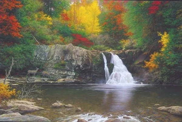 Autumn In The Smokies By Larry Dyke by Larry Dyke — giclee on canvas