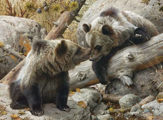 Alaska Chat by Carl Brenders