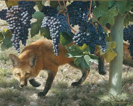 Between the Vines by Carl Brenders