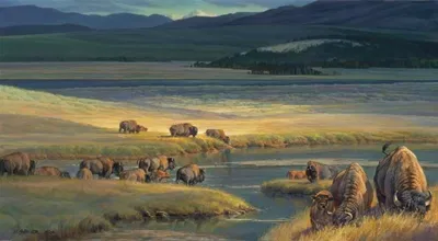 Nancy Glazier - Buffalo Valley By Nancy Glazier