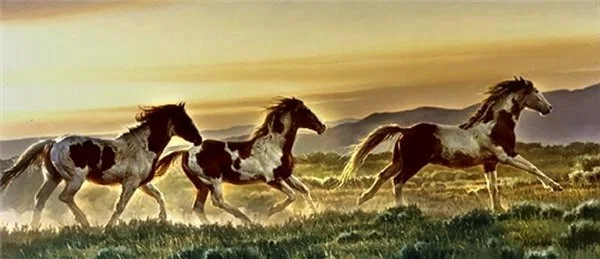 Early Morning Run By Nancy Glazier Canvas  Signed And Numbered by Nancy Glazier